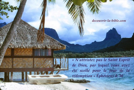 N'attristez pas le Saint-Esprit 